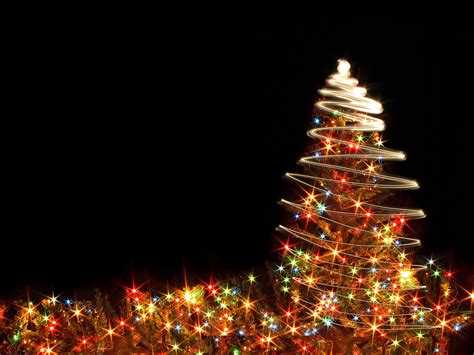 xmastree video download|More.